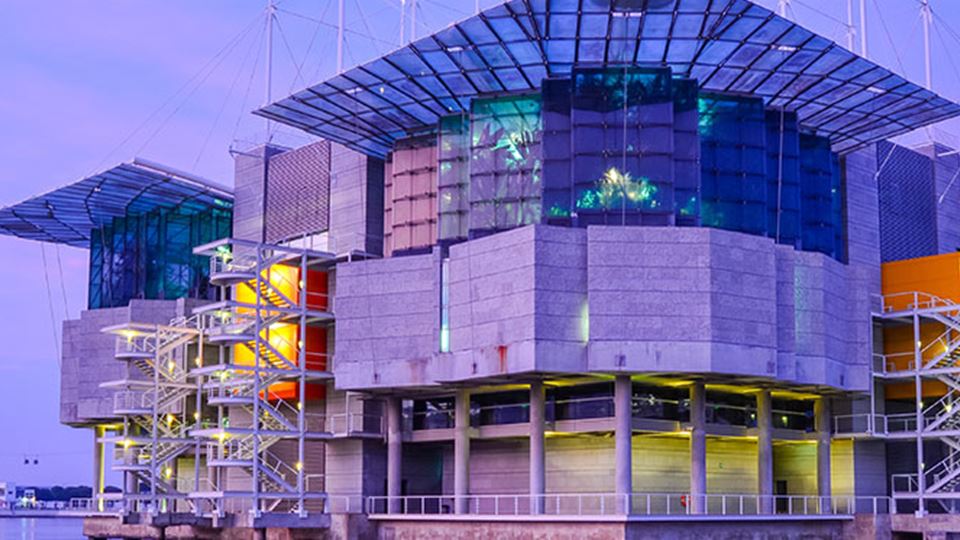 O melhor aquário do mundo fica...