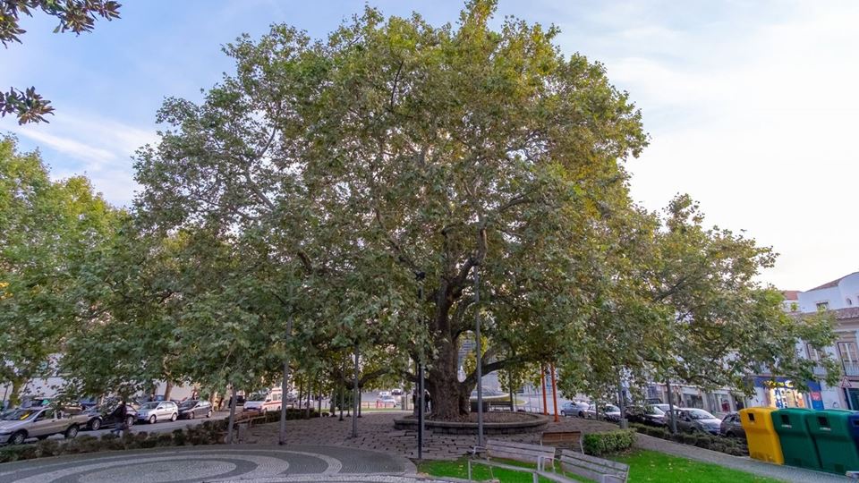 Já pensaste no poder que uma á...