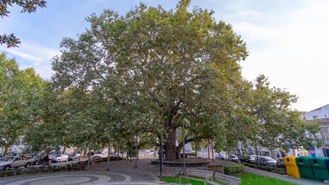 Já pensaste no poder que uma á...