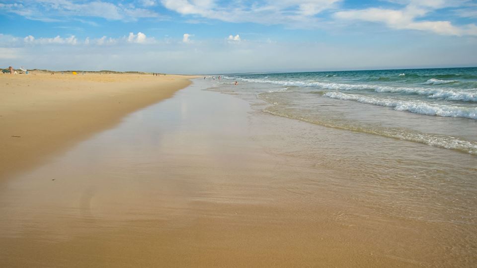 Estas praias portuguesas são c...