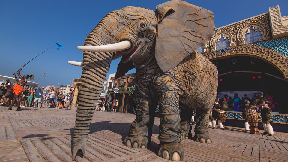 Viaja até África no Rock in Ri...