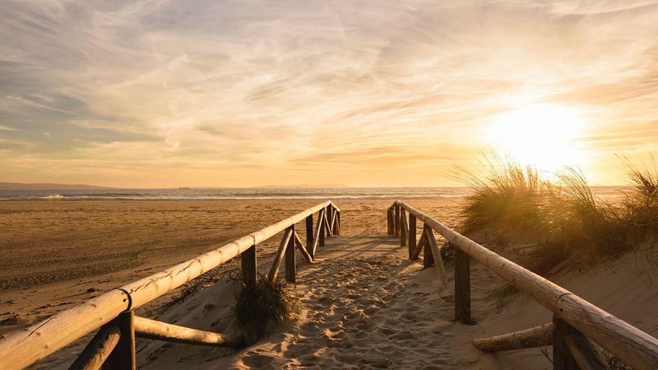 Onde anda o verão de São Marti...