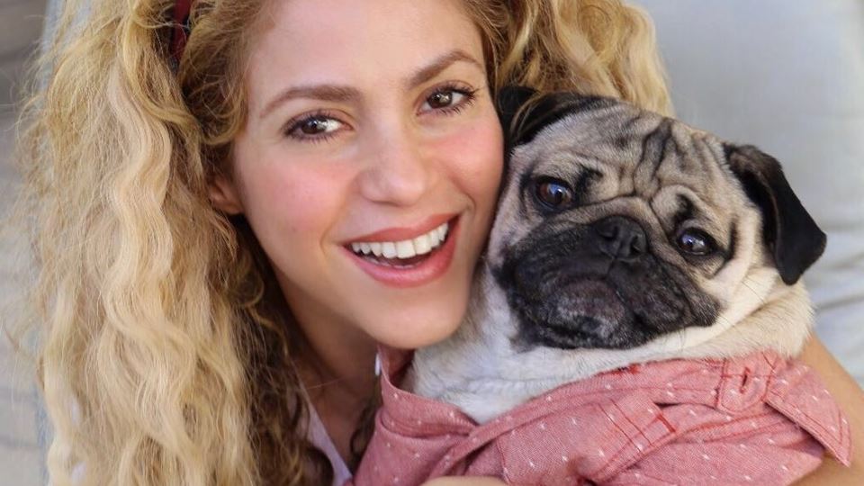 Shakira está encantada com Dou...