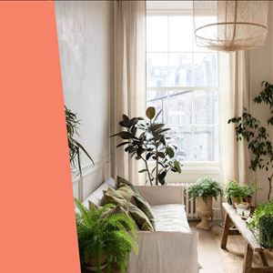 Ana Gomes Living - 5 dicas para a casa