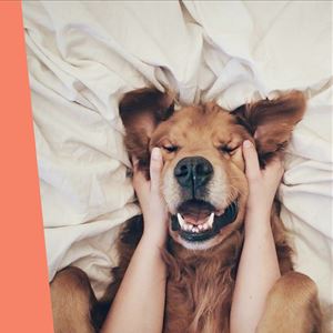 Ana Gomes Living: 5 formas de melhorar o teu humor