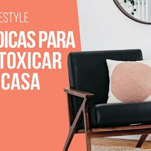 Ana Gomes Living: 5 dicas para desintoxicar a tua casa
