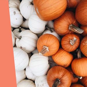 Ana Gomes Living: top 5 receitas com abóboras