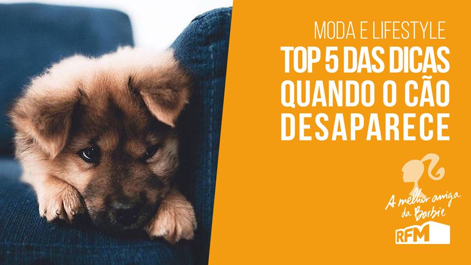 Melhor amiga da Barbie - quand...